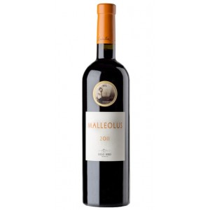 Malleolus